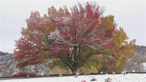 School delays and closures in East Tennessee for Wednesday | wbir.com