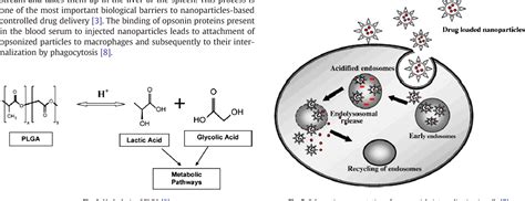 PLGA-based nanoparticles: an overview of biomedical applications. | Semantic Scholar