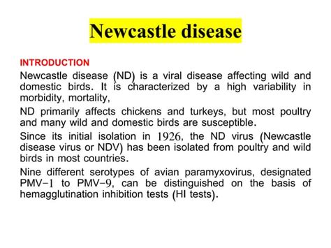 Newcastle disease.pdf