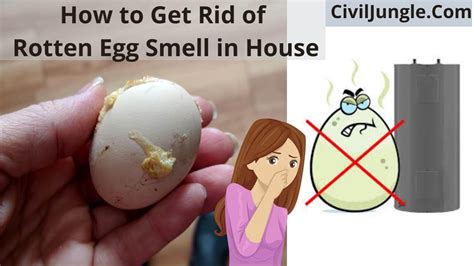 How to Get Rid of Rotten Egg Smell in House