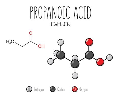 Premium Vector | Propanoic acid skeletal structure and flat model ...