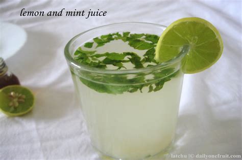 Lemon Mint Juice Pudina Juice Recipe