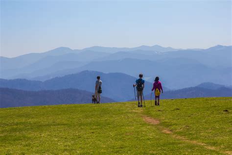 20+ Best Hiking Trails Near Waynesville NC