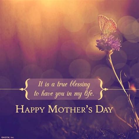 Pin by BlueMountain.com on Mothers | Happy mothers day wishes, Mother day wishes, Happy mothers ...