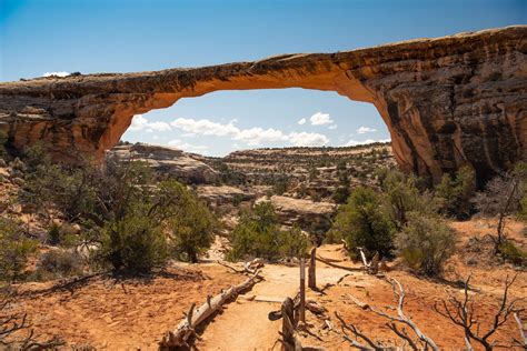 Natural Bridges National Monument | Canyon, Arches, Hiking | Britannica