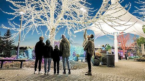 Six million holiday lights brighten skies at Tulalip | Holiday Cheer - Mukilteo Beacon