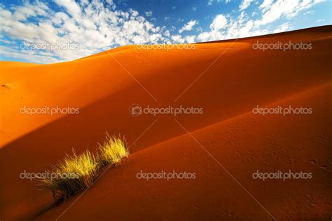 Sahara Desert landscape Stock Photo by ©rechitansorin 25888609