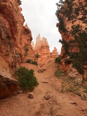 Bryce Canyon Wildlife Adventure (UT): Top Tips Before You Go - TripAdvisor