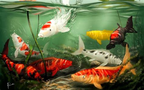 Koi Wallpapers - Top Free Koi Backgrounds - WallpaperAccess