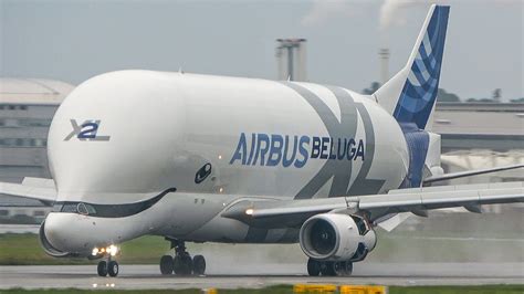 AIRBUS BELUGA XL LANDING with amazing WING VORTEX - A300 and A330 Beluga (4K) | Airbus, Beluga ...