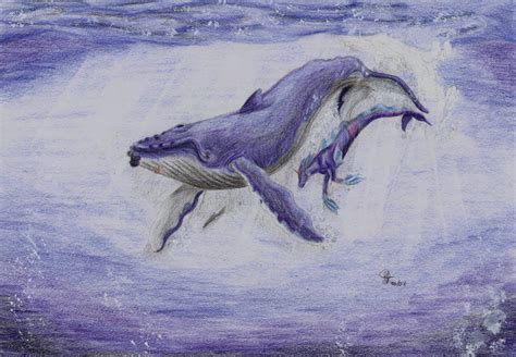 Whale Song by PolarisAstrum on DeviantArt