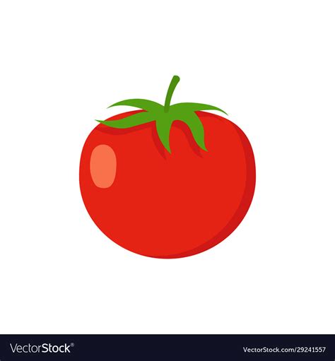 Tomato flat design Royalty Free Vector Image - VectorStock