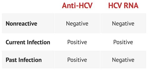 Hepatitis C Serology | Liver Function Tests - MedSchool