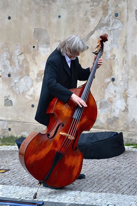 Double bass player outside of Prague Castle | Smithsonian Photo Contest ...