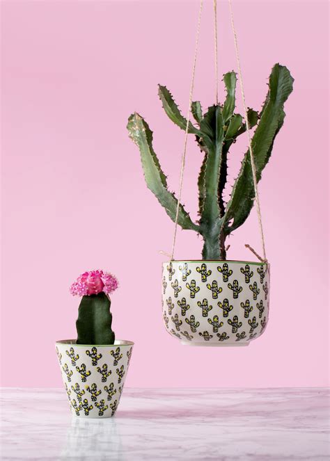 Sass & Belle Cactus Hanging and Mini Planters. We are on a mission to light up homes everywhere ...