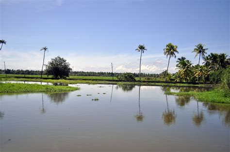 Kumarakom backwaters