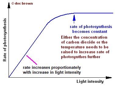 Graphical analysis graphs rate of photosynthesis for limiting factors ...