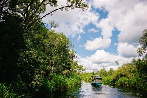 Sights in Tanjung Puting National Park - Lonely Planet