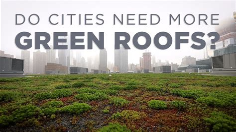 Do Cities Need More Green Roofs? | NPR - YouTube