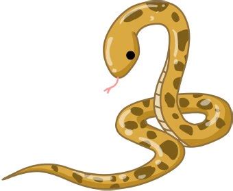 Snake clip art