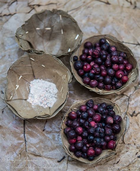 phalsa or falsa (Grewia asiatica), the deep purple summer stone fruit ...