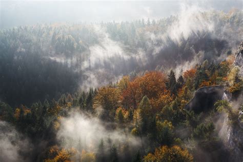 clouds of fog over colorful autumn trees near a rock formation, early ...