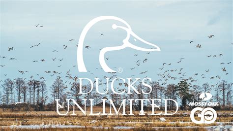 Ducks Unlimited - Mossy Oak GO