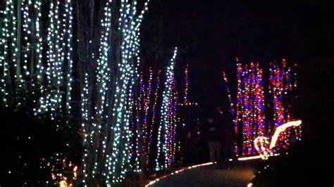 Selby Gardens Christmas Lights | Fasci Garden