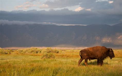 The Official Site for Alamosa, Colorado Tourism Information