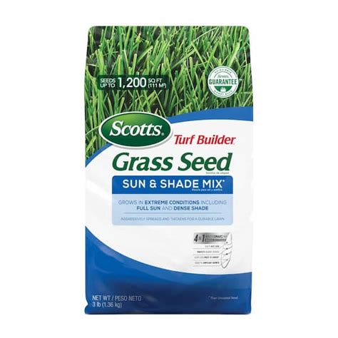 3 lb. Turf Builder Grass Seed Sun and Shade Mix Sri Lanka | Ubuy