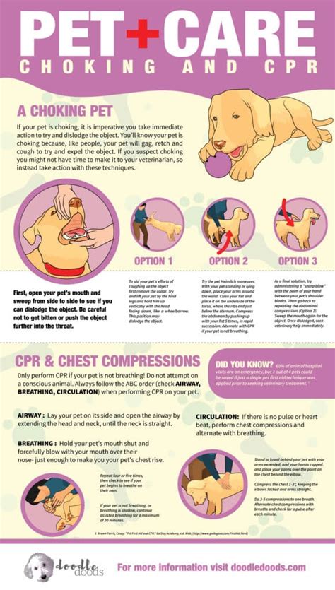 Dog CPR and Dog Heimlich Step-by-Step Guide - Doodle Doods