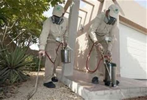 Fumigation process - Fumigation