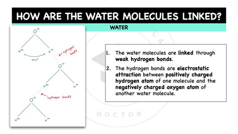 Chemical & Physical Properties Of Water – The Theoretical Doctor