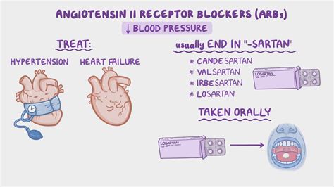 Angiotensin II receptor blockers (ARBs): Nursing pharmacology - Osmosis Video Library