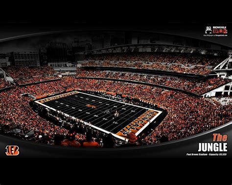 Cincinnati Bengals Wallpapers - Wallpaper Cave