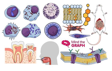 #30 The best of life science illustrations - Mind the Graph Blog