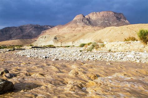 Desert Flash Flood Photograph by Photostock-israel - Pixels