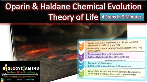 What is Oparin-Haldane Theory of Chemical Evolution of life?| Simplified in 4 Steps - YouTube