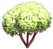 Frosted Heights Dwarf Maple - Dreamlight Valley Wiki