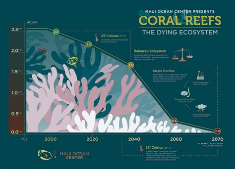 Coral Reefs Infographic | Behance