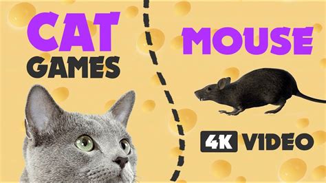 CAT GAMES MOUSE hunt ★ you must show your cat 1 HOUR 4K video - YouTube