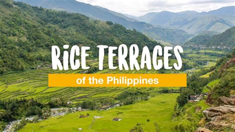 The Rice Terraces of the Philippines