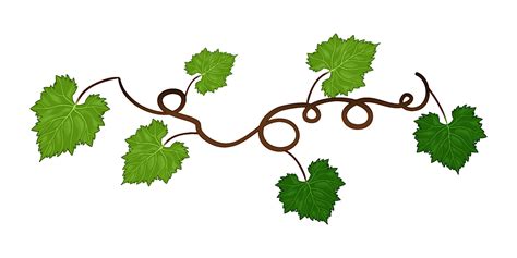 Grapes vine background with its branches and leaves. 22577124 Vector Art at Vecteezy