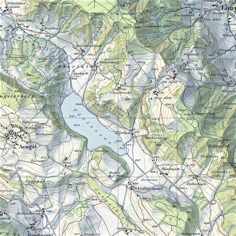 Data Deluge: Swiss Topographic Maps