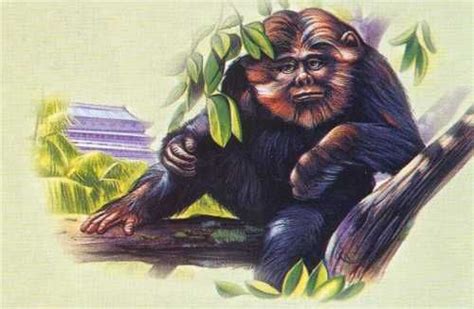 Yeren- Chinese cryptid: a wild man or hominid with reddish colored fur. they are usually ...