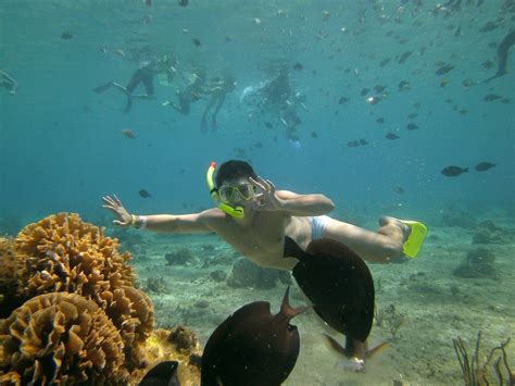 Snorkeling Spots On Isla Mujeres – DesertDivers