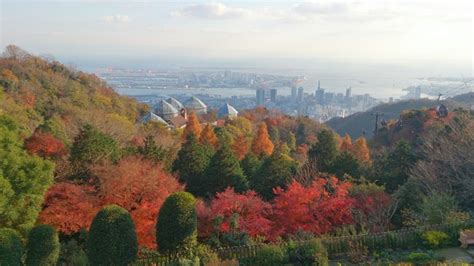 Top 4 things to do in Kobe Nunobiki Herb Gardens