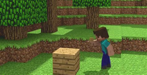 Random Minecraft Gifs