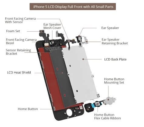 iPhone 5 LCD Screen Assembly Small Parts List