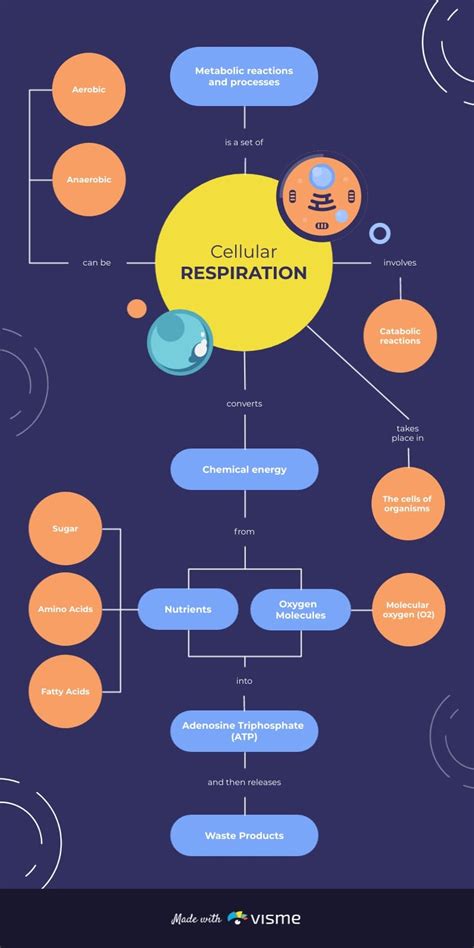 Strategic Management Concept Map Template Visme 14570 | The Best Porn Website